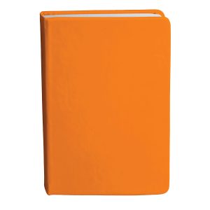 Bingham Notebook